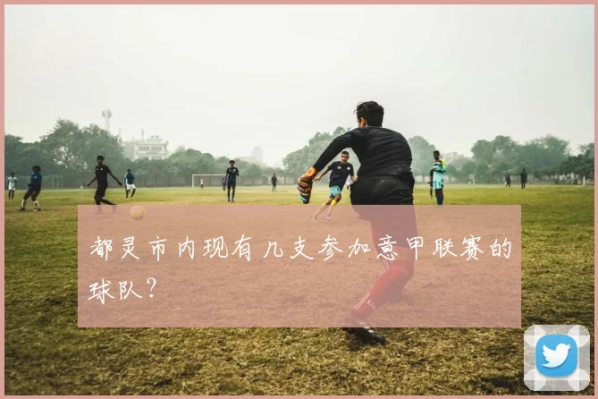 都灵市内现有几支参加意甲联赛的球队？