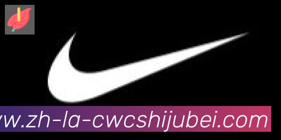 世界杯买球合作伙伴
