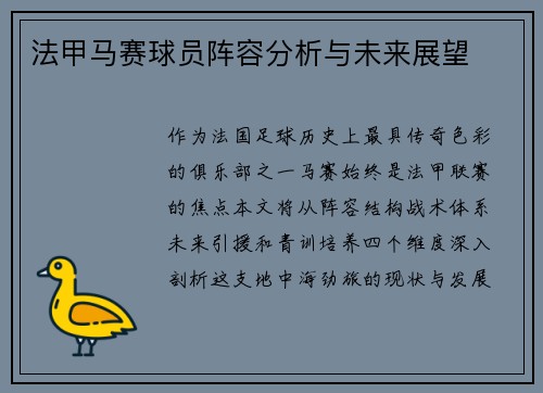法甲马赛球员阵容分析与未来展望