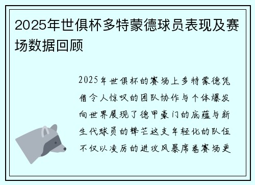 2025年世俱杯多特蒙德球员表现及赛场数据回顾